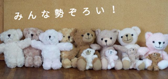 べアユニフォームクマの種類